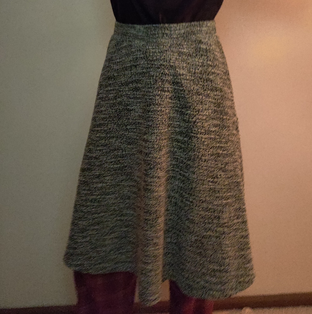 Anthropologie midi skirt with elastic waistband